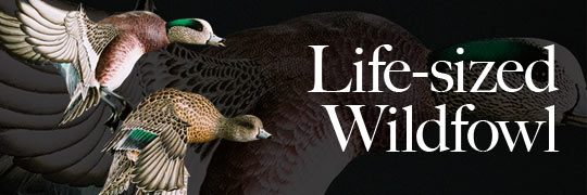 life sized decorative wildfowl