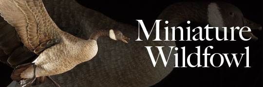 miniature wildfowl