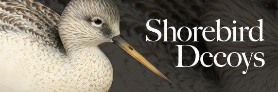 shorebirds