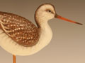 Antique style Yellowlegs